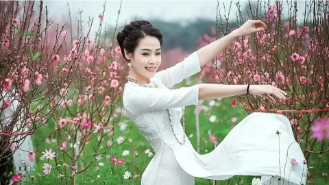 河南跨年大范围雨雪冰冻