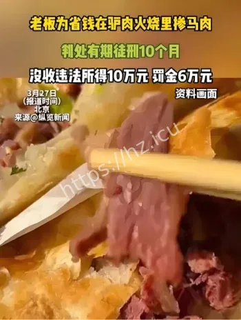 驴肉火烧掺马肉判刑事件