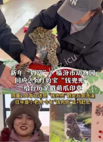 金钱豹爪印日历